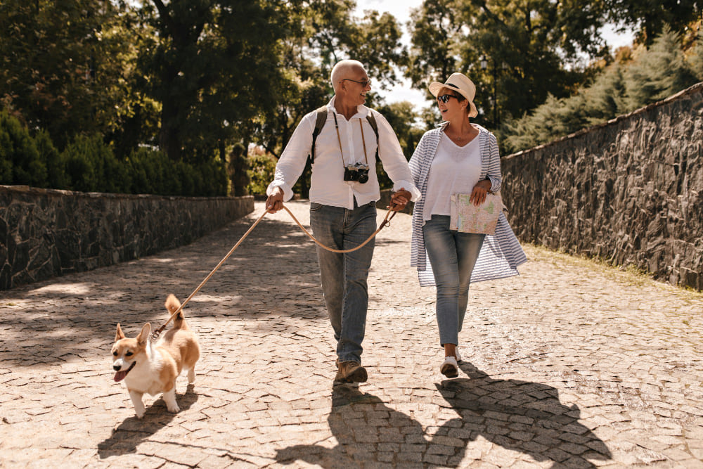 Mature adults walking together in a park
